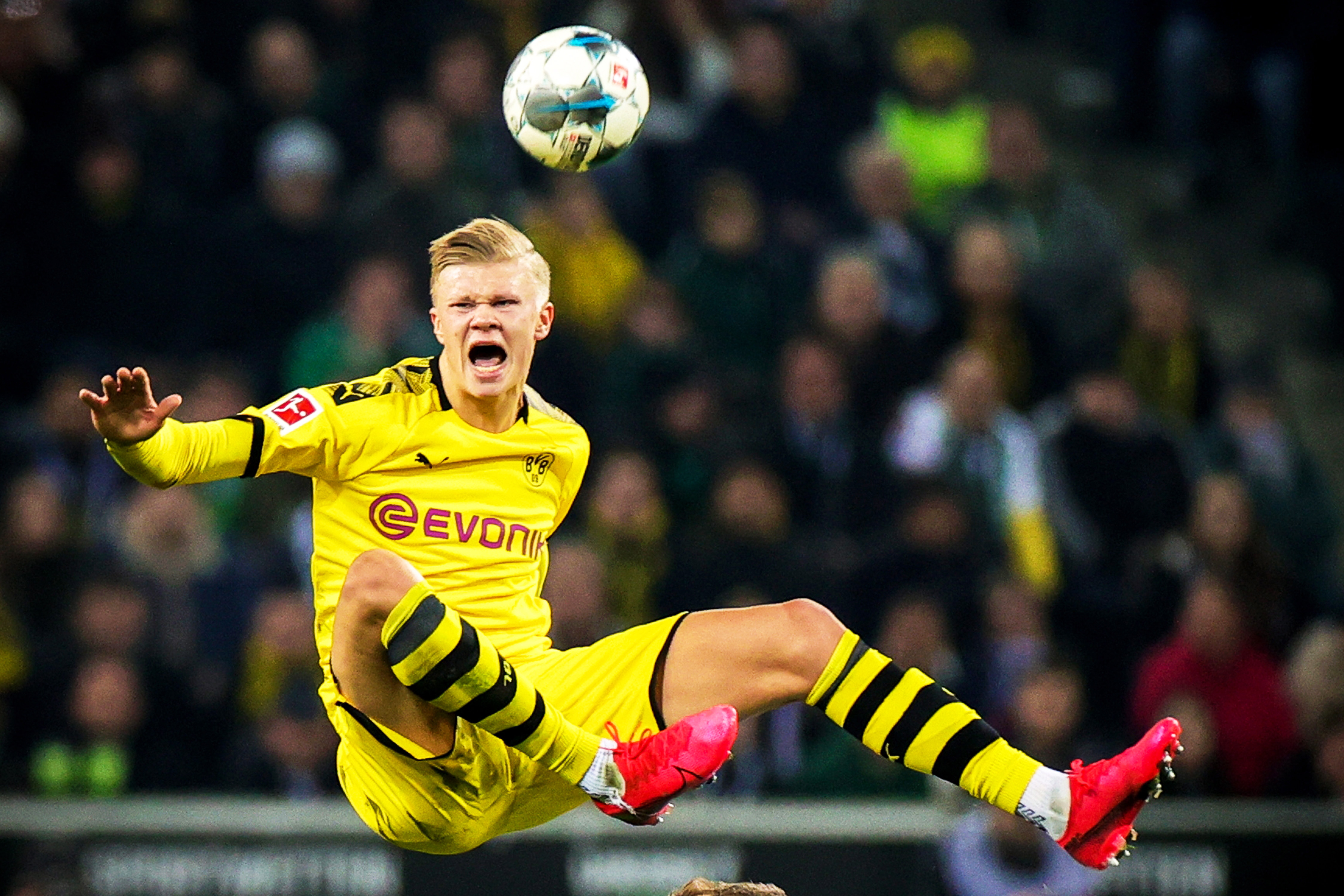 主队刻意提 主队刻意提