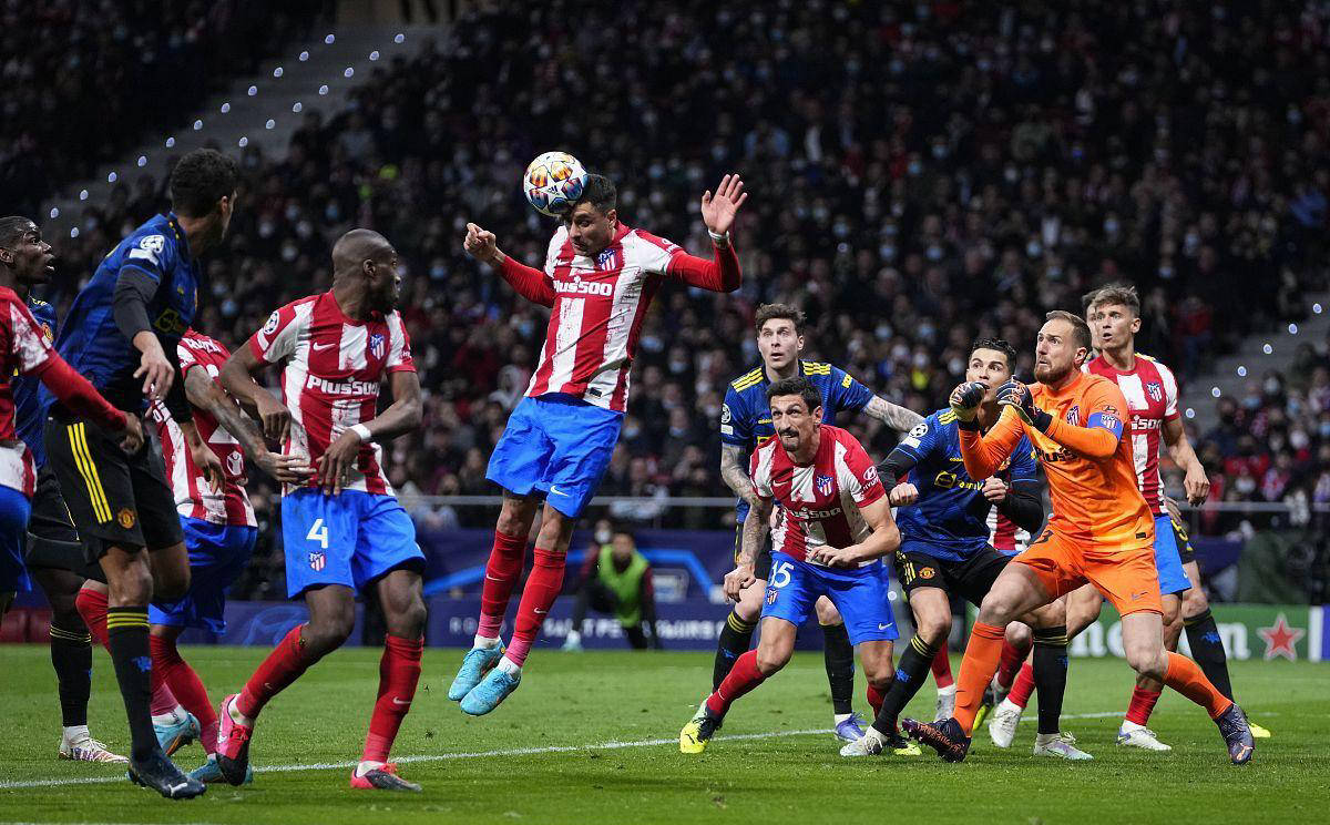 与关键球属 与关键球属